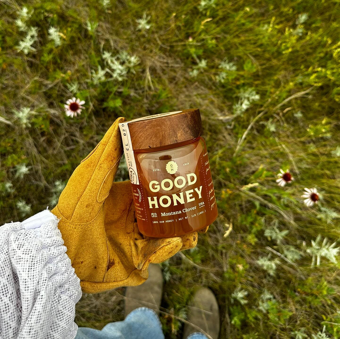 Best Raw Honey: Glyphosate-Free, 5th Generation Beekeepers