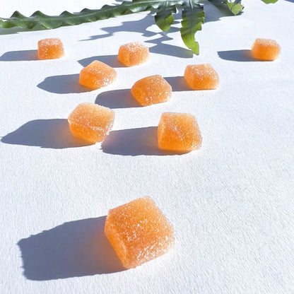 Concentrate Mushroom Gummies (5) for Focus