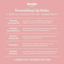 Moroccan Rose Plastic-Free Lip Balm