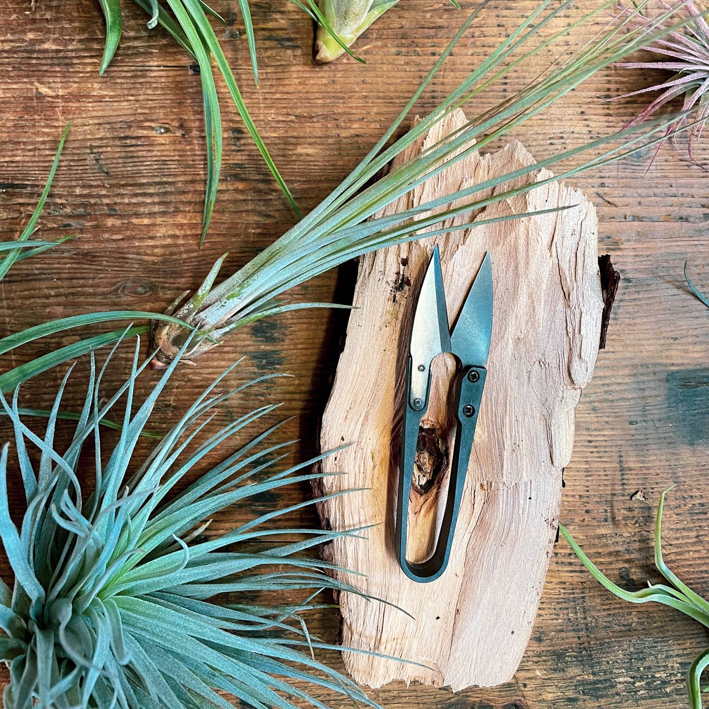 Herb Snips - Gardening Tool