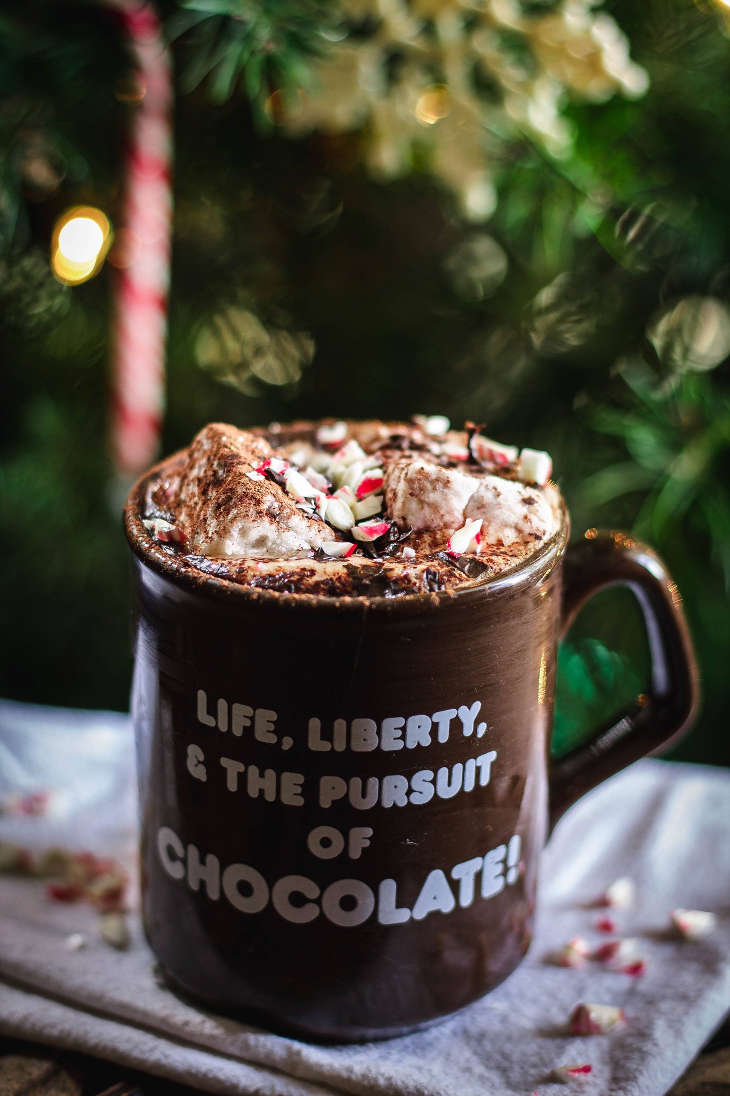 Cocoa Dipped Marshmallows - Organic, Non-GMO, Gluten-Free