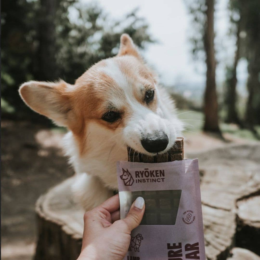 Lamb Treat & Snack Bar for Active Dogs