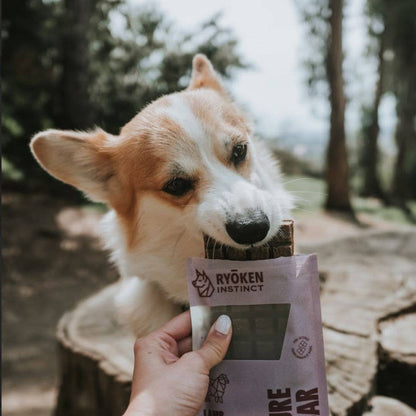 Lamb Treat & Snack Bar for Active Dogs