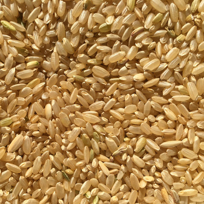 Brown Milled California Japonica Rice