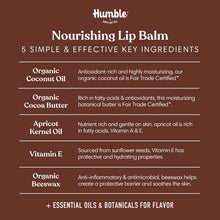 Vanilla & Cardamom Plastic-Free Lip Balm