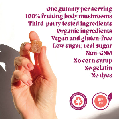 Concentrate Mushroom Gummies (5) for Focus
