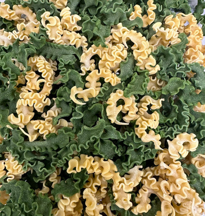 Pappardelle Undulate Colorati Pasta, Vegan 10 oz Dried