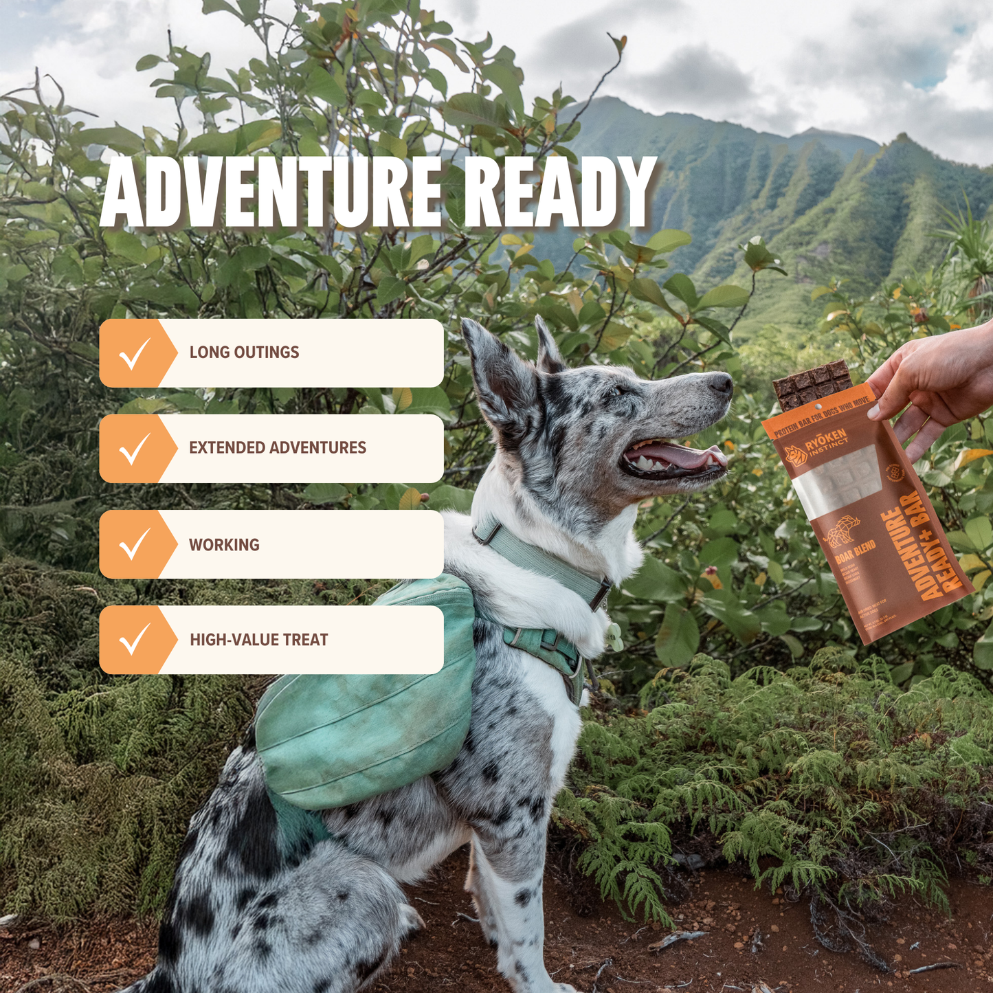 Boar Treat & Snack Bar for Active Dogs