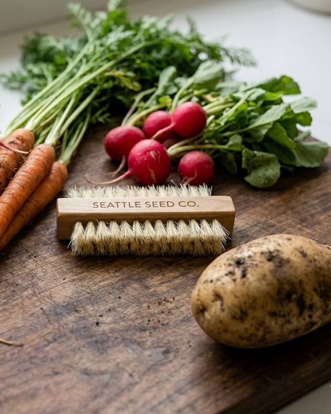 Vegetable & Nail Brush