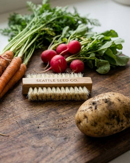 Vegetable & Nail Brush