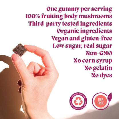 Hibernate Mushroom Gummies (5) for Sleep