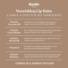Simply Unscented Plastic-Free Lip Balm