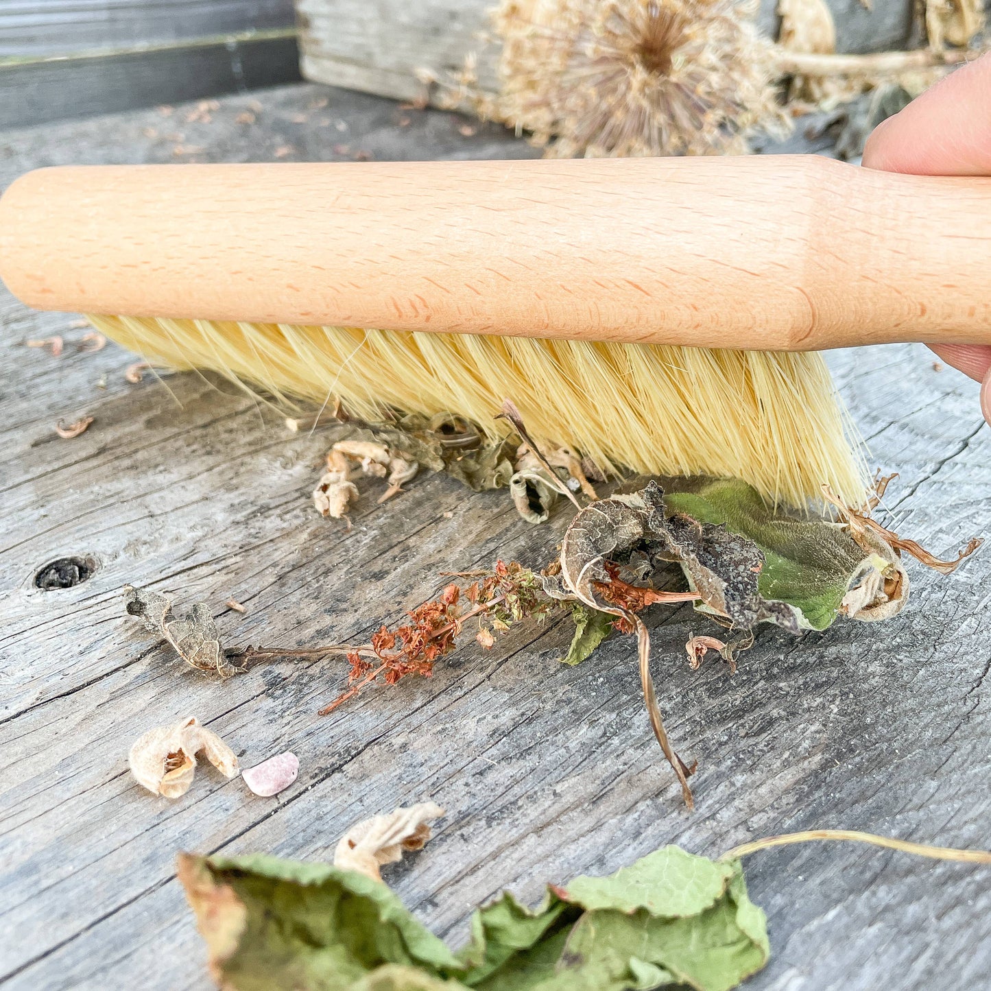 Gardener's Brush