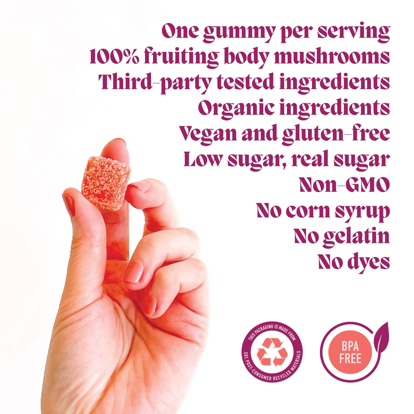 Elevate Mushroom Gummies (5) for Mood