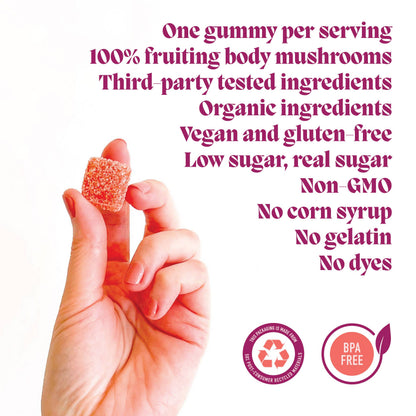 Elevate Mushroom Gummies (5) for Mood