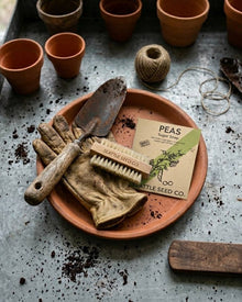Vegetable & Nail Brush
