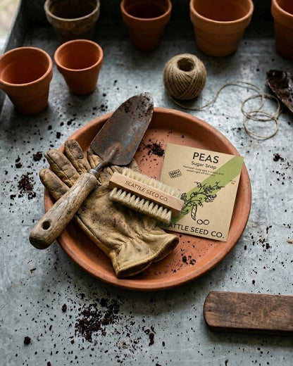 Vegetable & Nail Brush