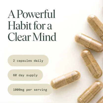 Mind Capsules