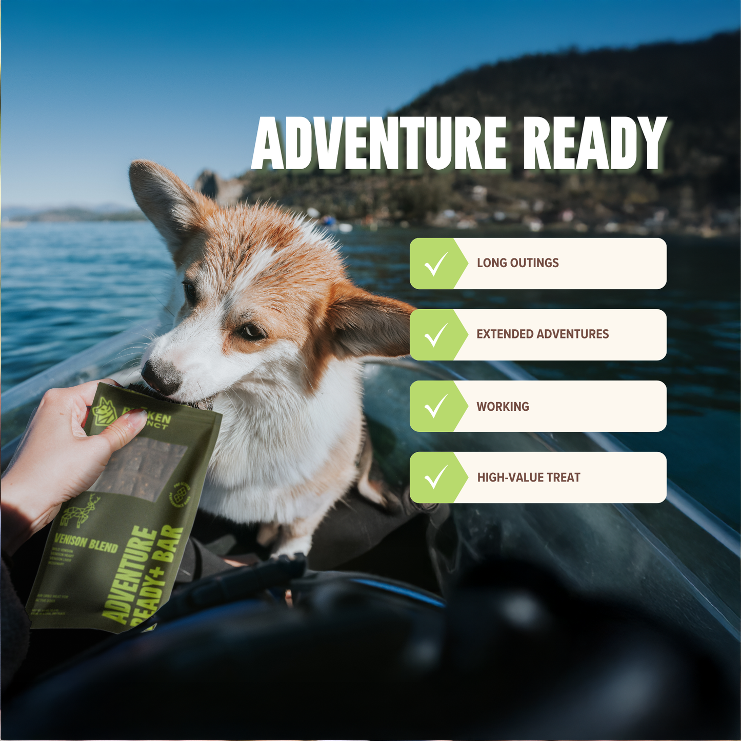 Venison Treat & Snack Bar for Active Dogs