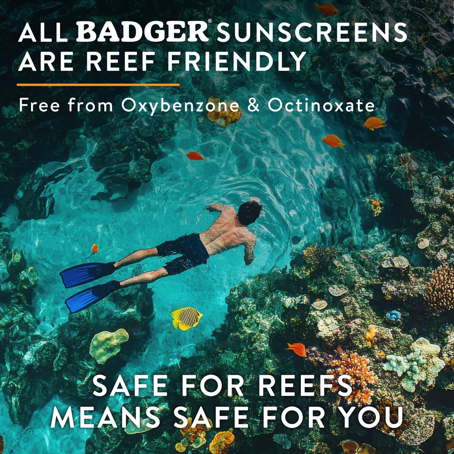 Badger Mineral Daily Sunscreen SPF 50, with Zinc Oxide